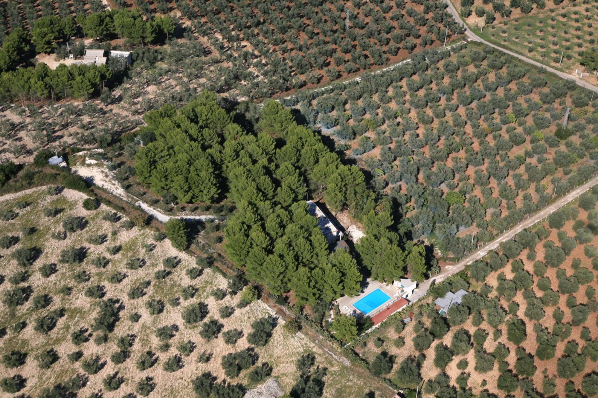Residence San Luca Vieste Bagian luar foto